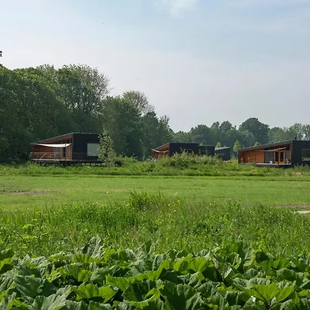 Freelodge - City & Nature