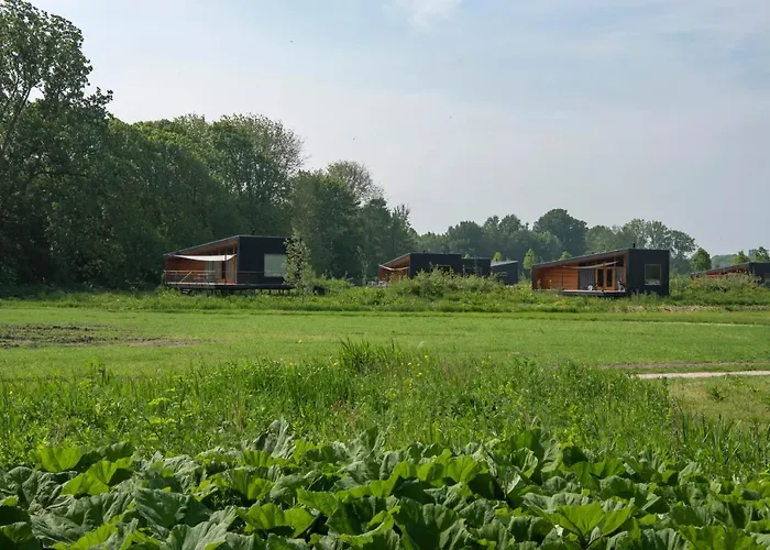 Freelodge - City & Nature